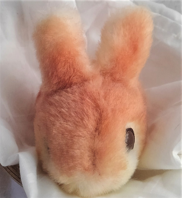 受注生産・真ん丸子ウサギ(バターロール) 4枚目の画像