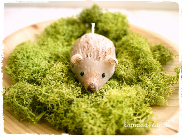 可愛いハリネズミ キャンドルホルダー 【公式通販】