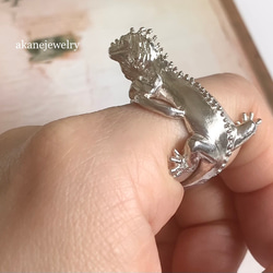 イグアナの指輪 1枚目の画像