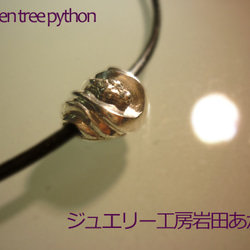 GTP（グリンツリーパイソン）ブレスレット＆ネックレス 6枚目の画像