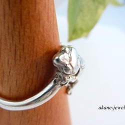 レオパの指輪 4枚目の画像