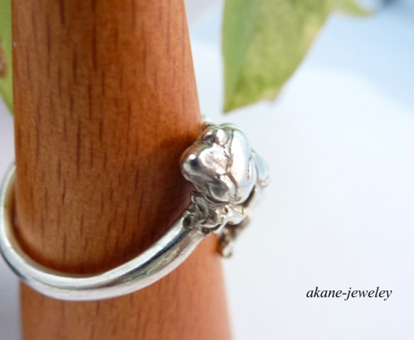 レオパの指輪 4枚目の画像