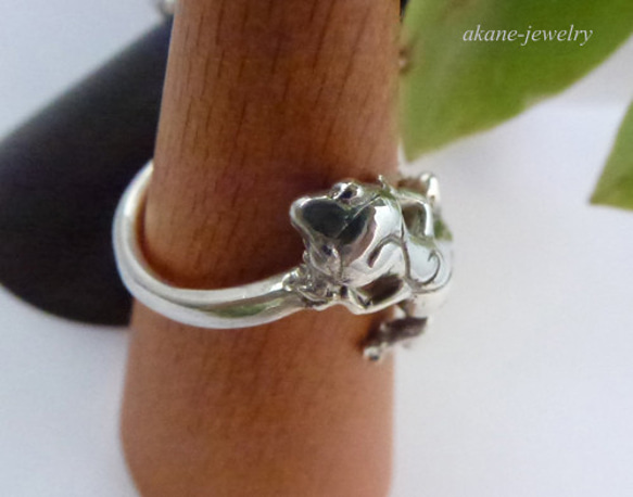 レオパの指輪 5枚目の画像