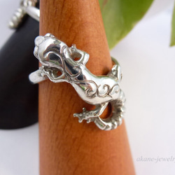 お目めがルビーヒョウモントカゲモドキの指輪 9枚目の画像