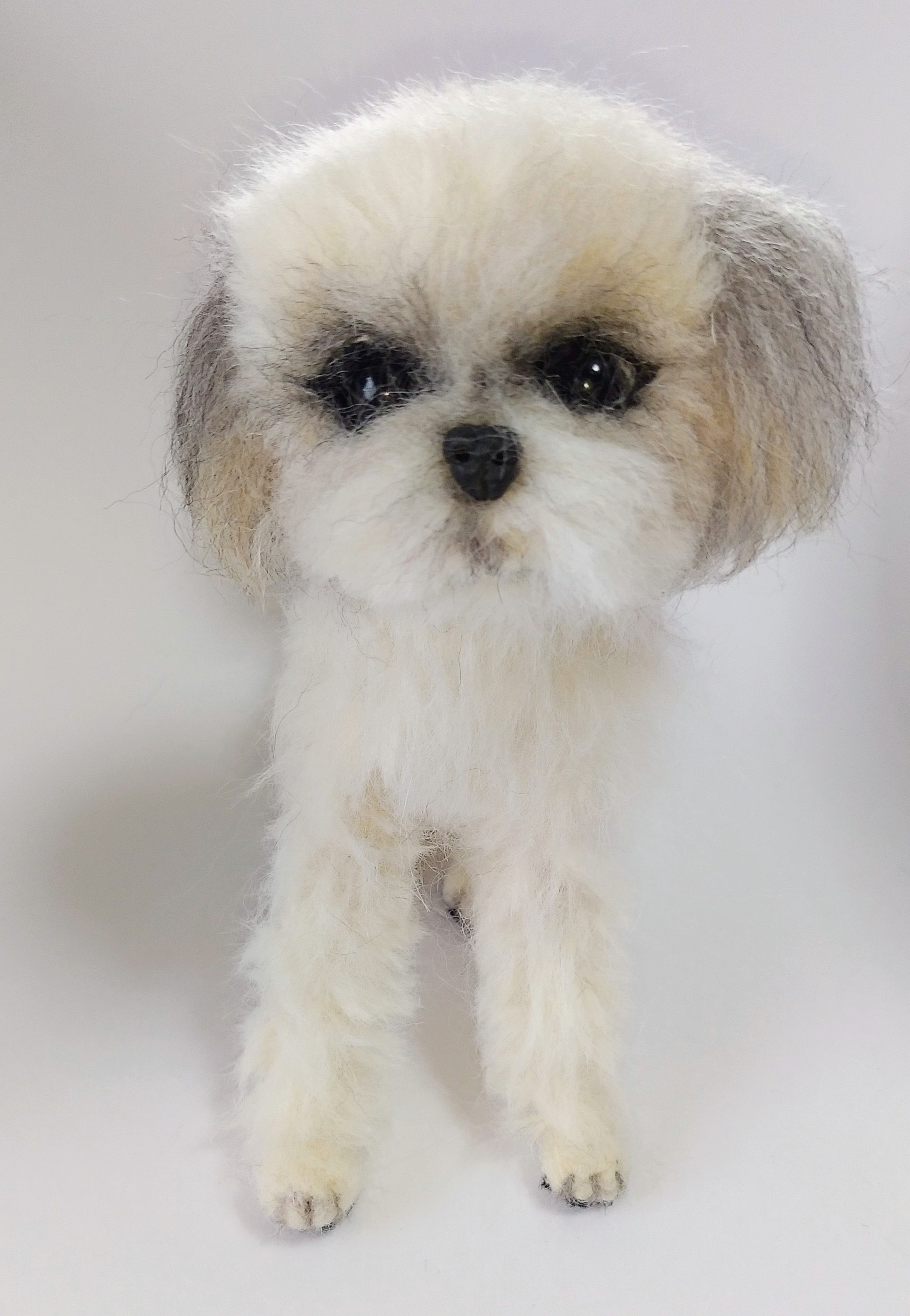 うちの子❤シーズー（お座り＆伏せ）