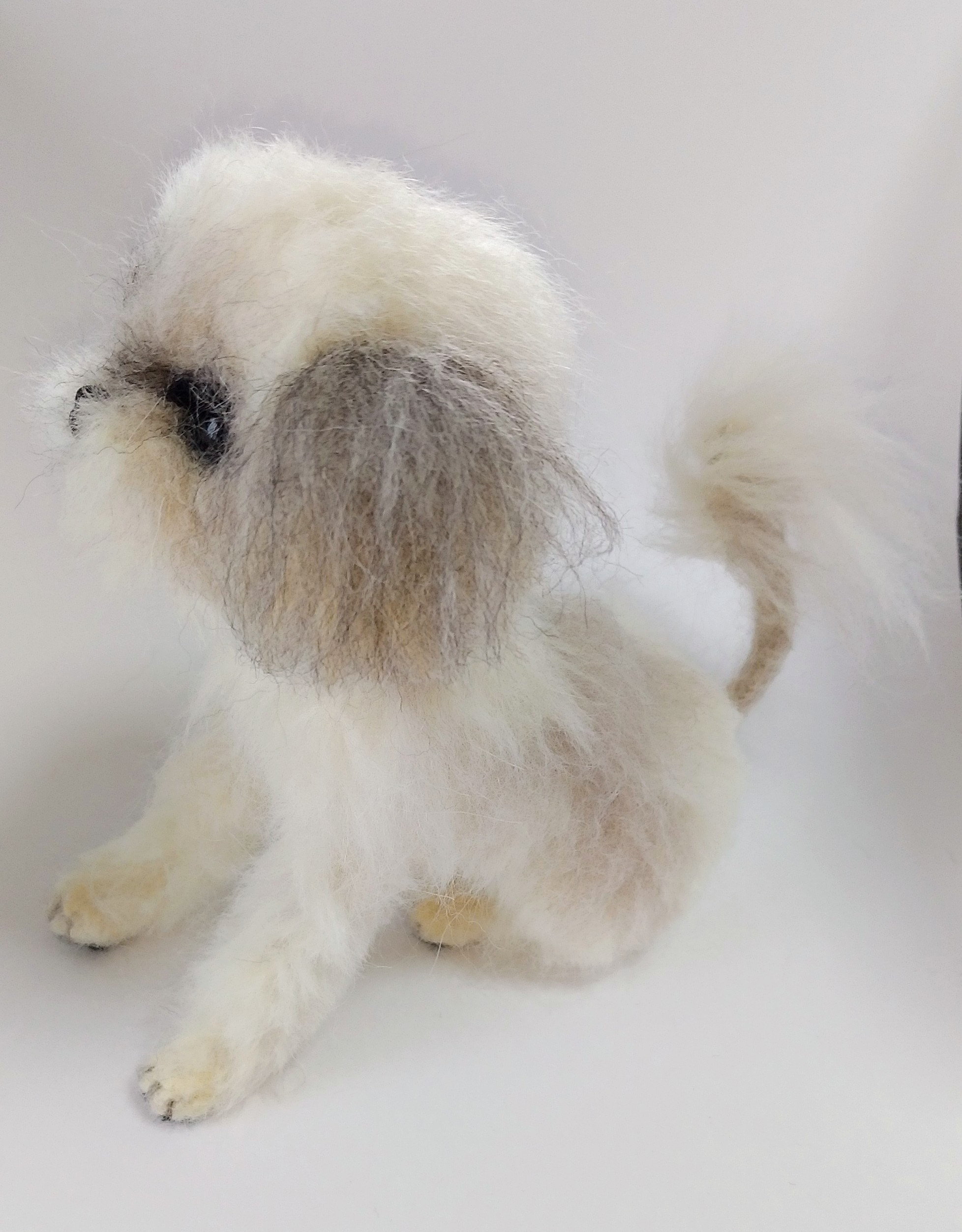 うちの子❤シーズー（お座り＆伏せ）