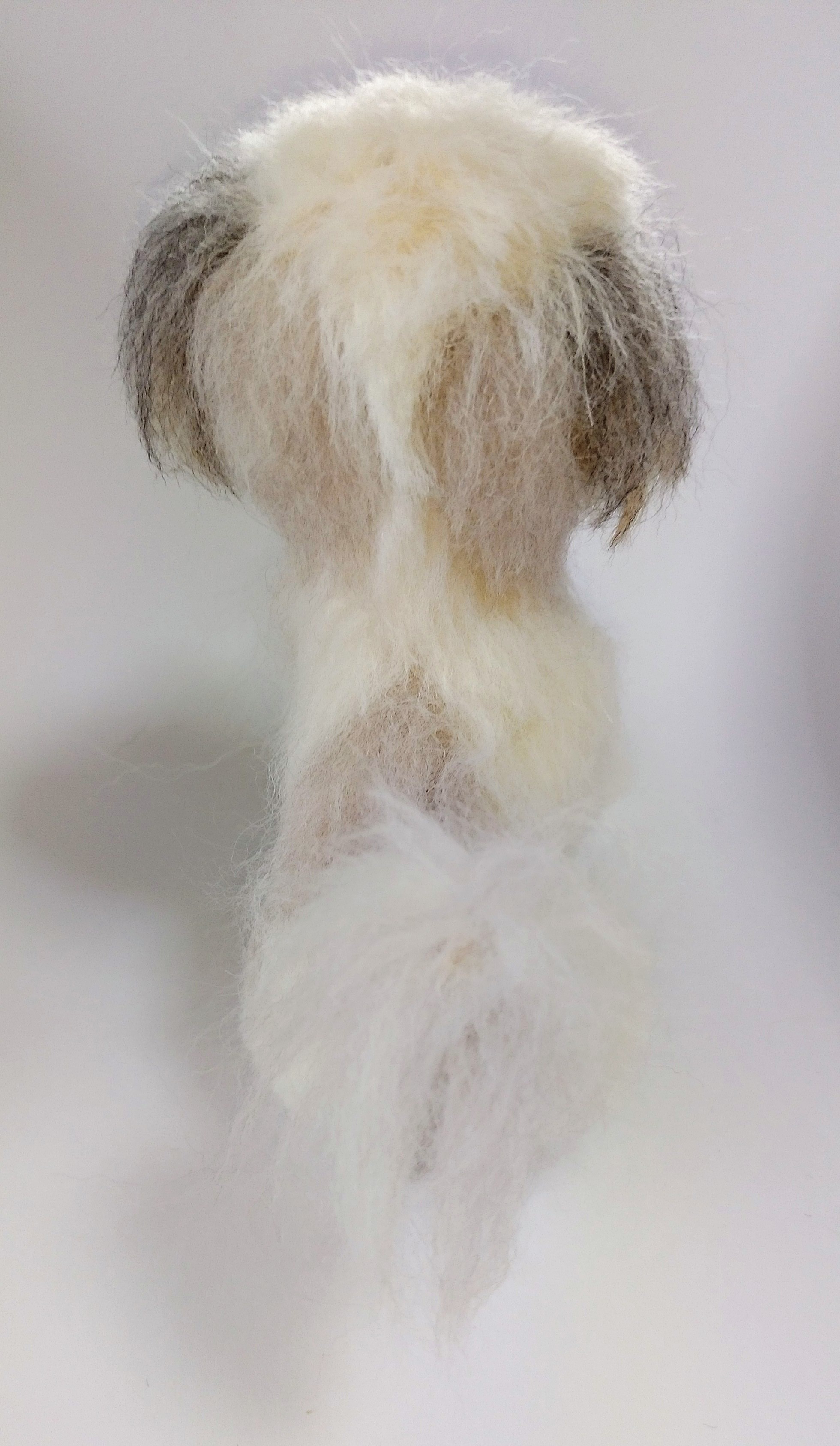 うちの子❤シーズー（お座り＆伏せ）