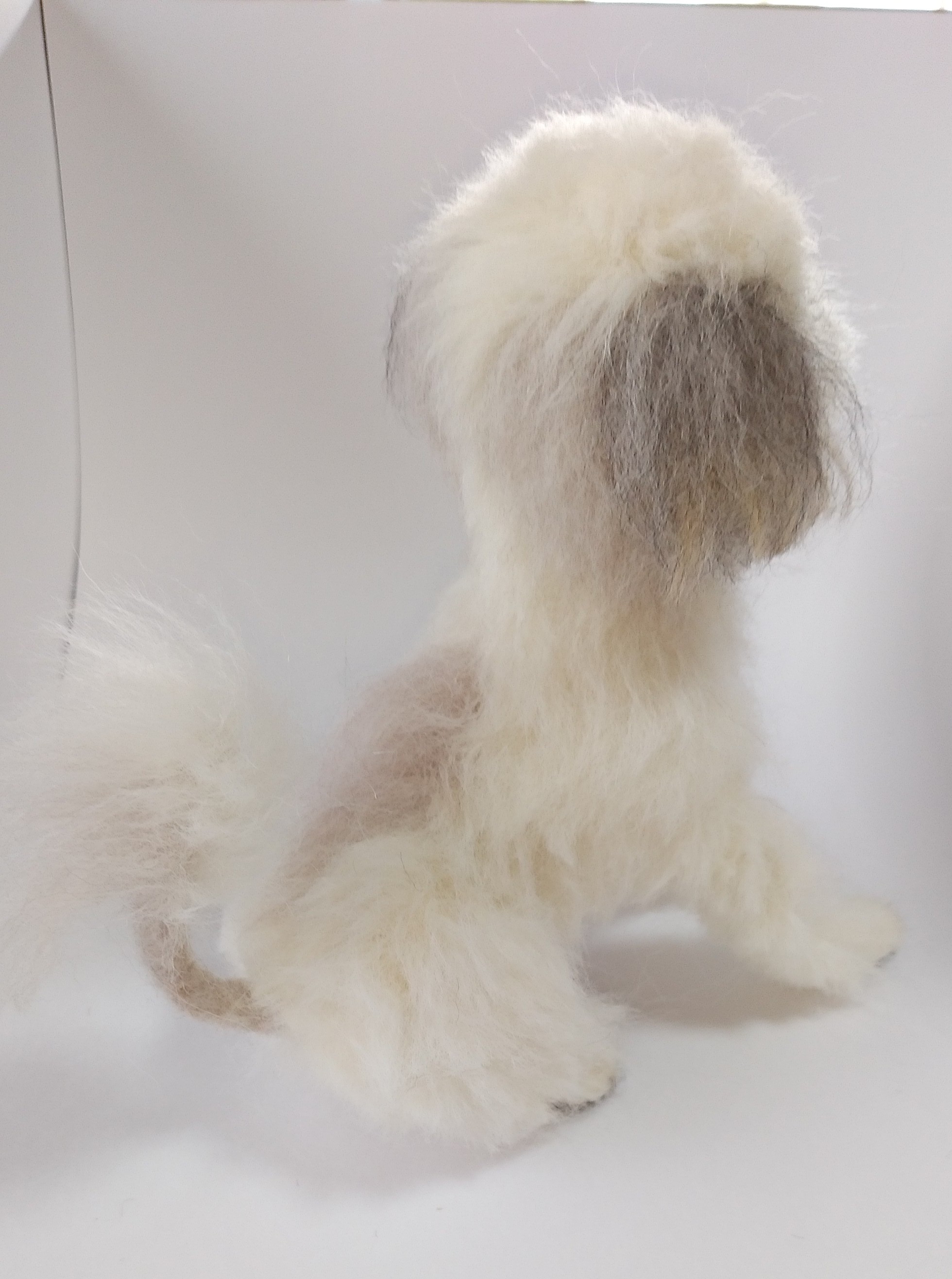 うちの子❤シーズー（お座り＆伏せ）