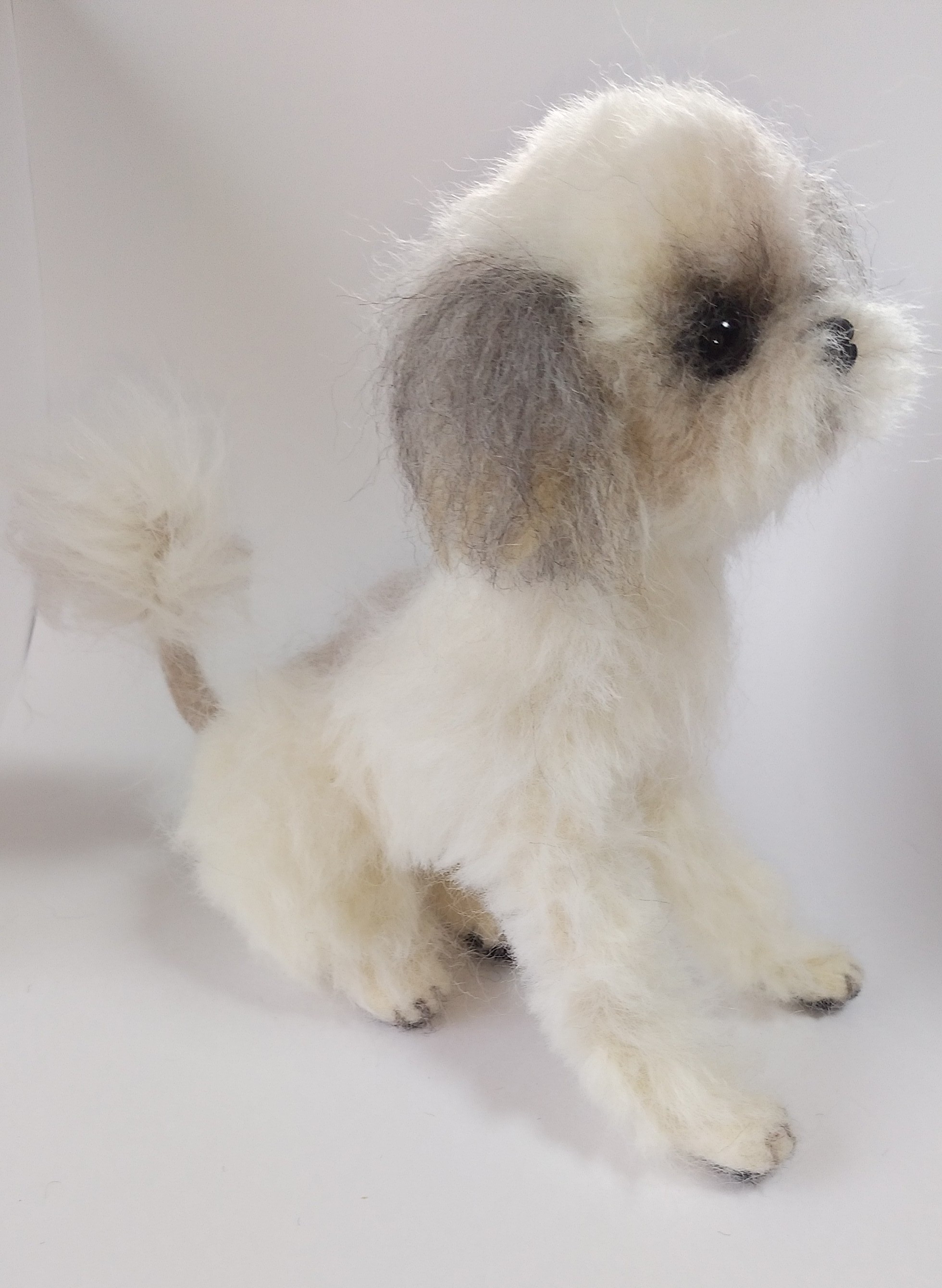 うちの子❤シーズー（お座り＆伏せ）