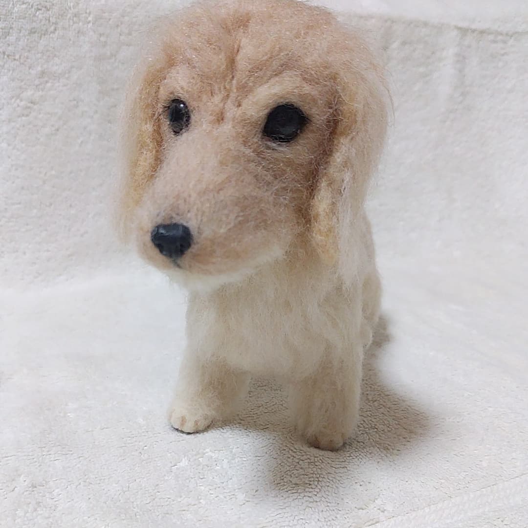 うちの子❤ミニチュアダックス（立ち姿）