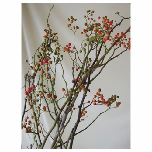 特集掲載】フレッシュグリーンのクリスマススワッグ スワッグ le