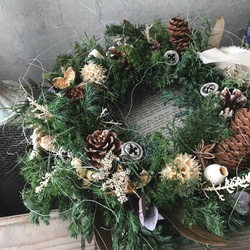 4種のグリーンと木の実たちのフレッシュクリスマスリース＊30センチ