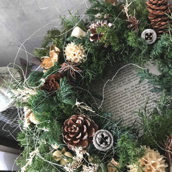 【特集掲載】φ32.0〜33.0㎝ ナッツと実＆フレッシュグリーンのクリスマスリース 4枚目の画像