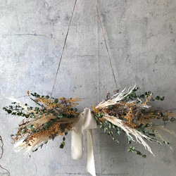 ミモザ×パンパスグラスのドライフラワーガーランド//ハンギング壁掛け