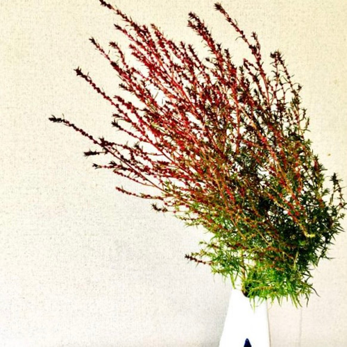 三角花瓶 一輪挿し・花瓶・花器 ツバキ工房 通販 11376105｜Creema