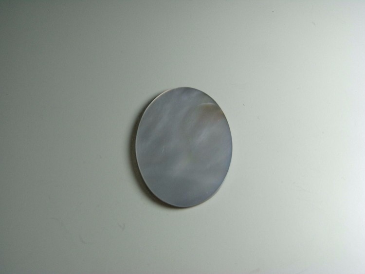 貝殻のような石