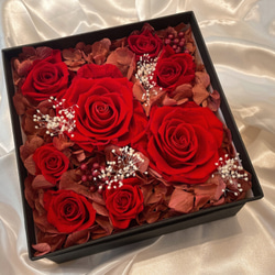 0_a53a87b1da961d4b1b3761104e3f