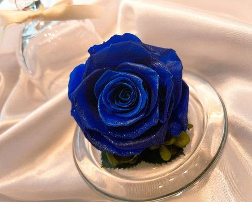 ＊sora⭐️様お取置き8/3パープルハウライト　薔薇　エンジェルフェザーアメジス sora⭐️様お取置き8/3パープルハウライト 薔薇 エンジェルフェザー