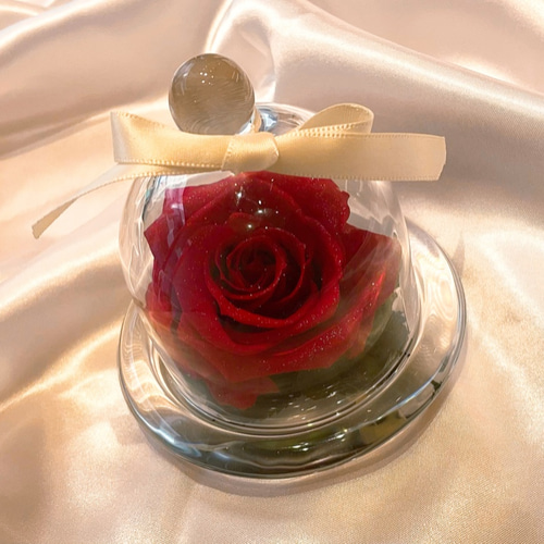 ガラスドーム 薔薇のオブジェ 照明 薔薇 ガラスドーム LED ギャラクシーorブルー 3D オブジェ