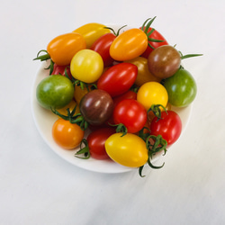 サザキ農園のミックスミニトマト 彩りバラエティーセット3kg 2枚目の画像