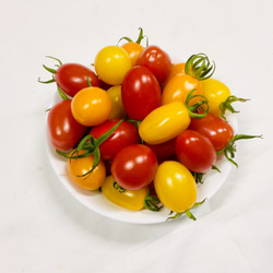サザキ農園のカラフルミニトマト 彩りバラエティーセット1kg 2枚目の画像
