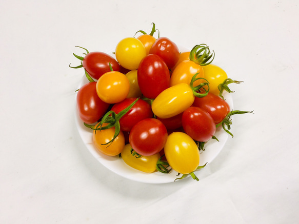 サザキ農園のカラフルミニトマト 彩りバラエティーセット1kg 2枚目の画像