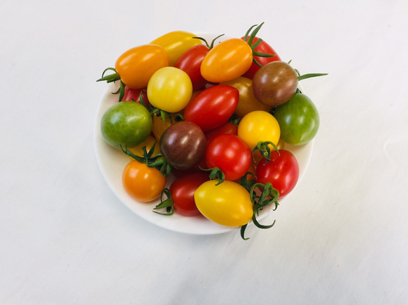 サザキ農園のミックスミニトマト 彩りバラエティーセット1kg 2枚目の画像