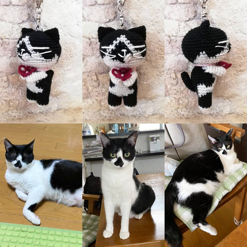 オーダーメイド　猫のあみぐるみキーホルダー オーダーメイド猫あみぐるみ（毛糸のぬいぐるみ） | iichi 日々