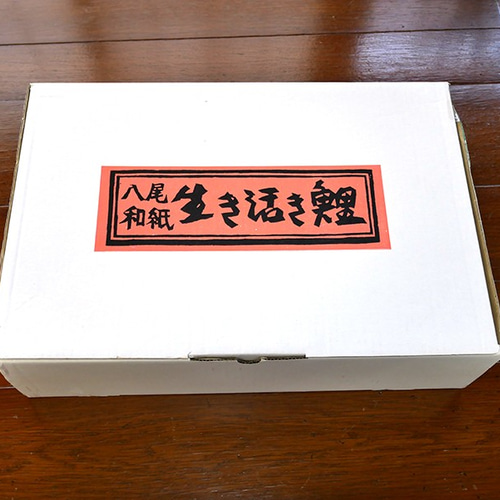 和紙型染鯉のぼり 生き活き鯉 大中小セット こどもの日 その他