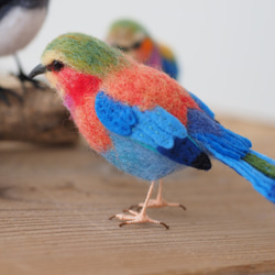 【オーダーメイドフェルト動物】鳥、ぬいぐるみ、バードぬいぐるみ、羊毛フェルト、小鳥 人形、鳥、バード、ペットロス 3枚目の画像