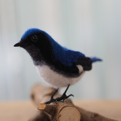 【オーダーメイドフェルト動物】鳥、ぬいぐるみ、バードぬいぐるみ、羊毛フェルト、小鳥 人形、鳥、バード、ペットロス 5枚目の画像