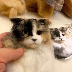 オーダーメイド 猫 犬 ぬいぐるみ フェルト 羊毛 うちの子 人形 アート 立体 オブジェ ペット メモリアル  ロス　 5枚目の画像