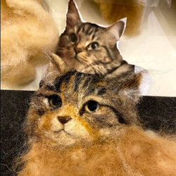 オーダーメイド 猫 犬 ぬいぐるみ フェルト 羊毛 うちの子 人形 アート 立体 オブジェ ペット メモリアル  ロス　 7枚目の画像