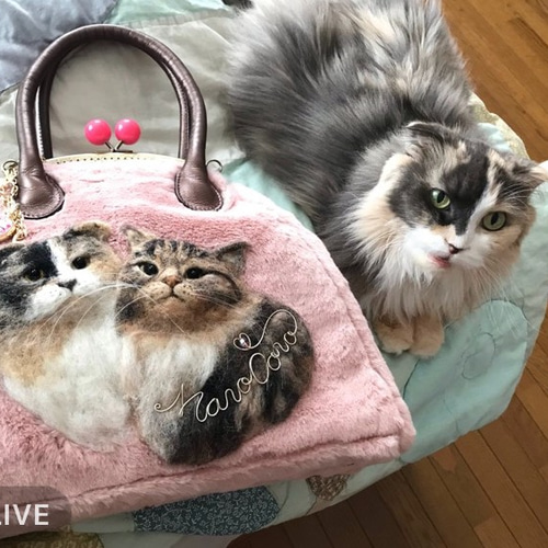 うちの子オーダー2025【オーダー例 マロコロちゃん】 ＃羊毛フェルト