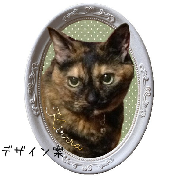 【オーダー例 キララちゃん】 ＃羊毛フェルト ＃フェルト ＃オブジェ立体 ＃ぬいぐるみ人形 ＃ペットメモリアル 