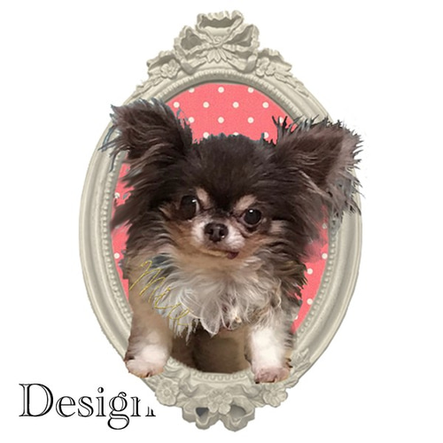 うちの子オーダー2025【オーダー例 みゅうちゃん】 ＃羊毛フェルト