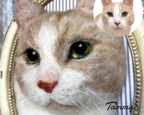 0_c1bf5a964a190de6fc262ed69fcd