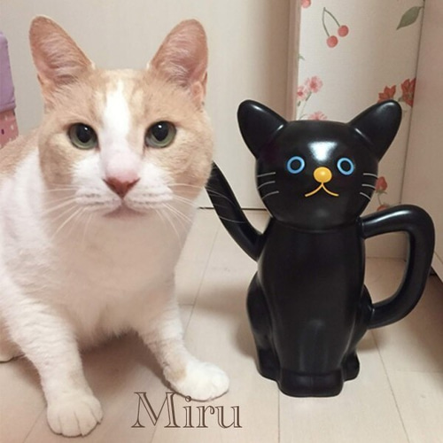 羊毛フェルト 猫 もりりん。様 お取り置き分です