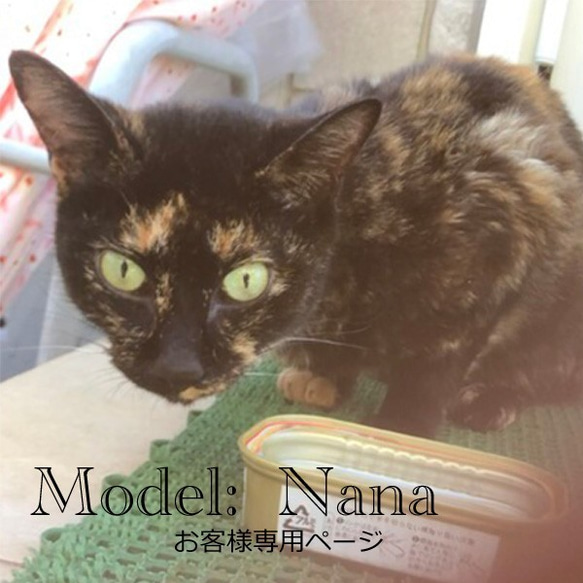 【オーダー例 ななちゃん】 ＃羊毛フェルト ＃フェルト ＃オブジェ立体 ＃ぬいぐるみ人形 ＃ペットメモリアル 