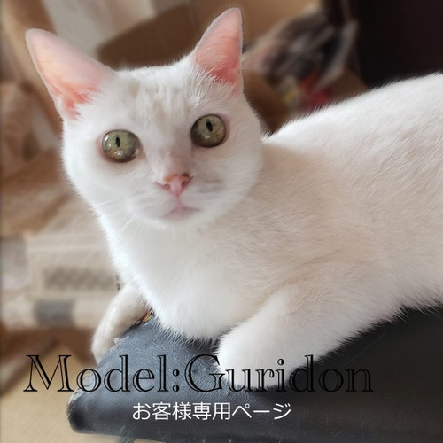 羊毛フェルト 【メグ様専用ページ♪*゜⠀】 猫さん set❀.*゜