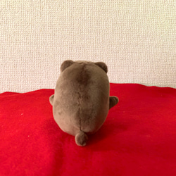 プチ子ぐまのぬいぐるみ（ヒグマ） 3枚目の画像