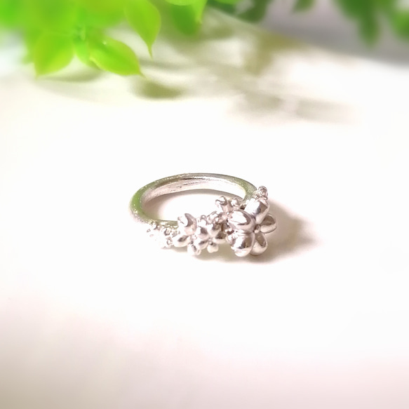 純銀　桜リング　約9〜10号　桜満開ピュアシルバーリング　指輪 1枚目の画像