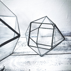 ステンドグラス【LadyBug】ミニ置き型テラリウム 1枚目の画像