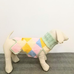 犬服　ハンドメイド　1点もの　おしゃれタートルネックセーター 2枚目の画像