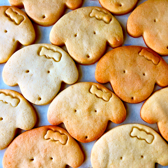 【犬猫クッキー】　バター&マーガリン　手作りクッキー　お菓子　3枚入りセット 2枚目の画像