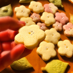 ✽バター&マーガリン両方楽しめる✽ 梅の花　春の手作りクッキー　24枚入りセット　いちご味　チーズ味 7枚目の画像