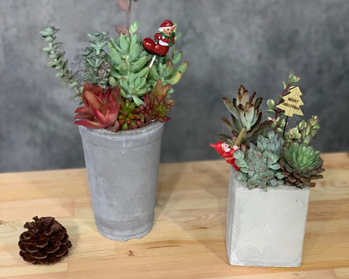 0_d6dda4ac84b421a6e9330bf0402f