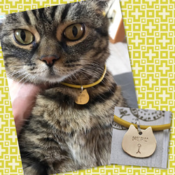 失子卡★Otoboke貓魅力黃銅皮錶帶式★Picom★ 第9張的照片