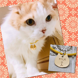 失子卡★Otoboke貓魅力黃銅皮錶帶式★Picom★ 第7張的照片