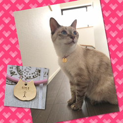 失子卡★Otoboke貓魅力黃銅皮錶帶式★Picom★ 第11張的照片